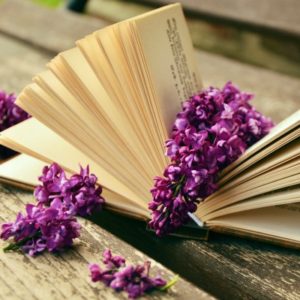 My gift to you: a free E-book